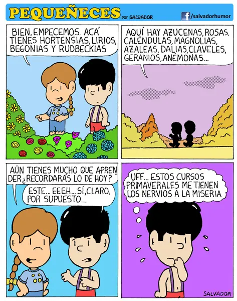 cuanta razon