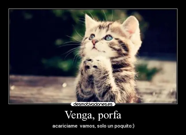 motivaciones