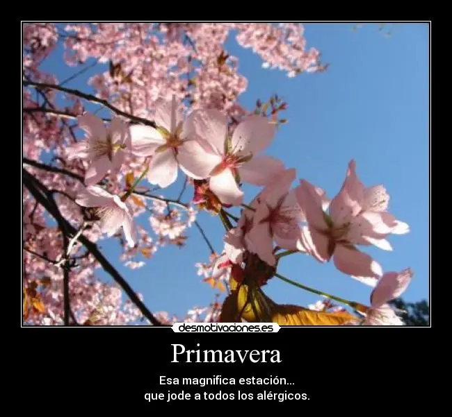 motivaciones