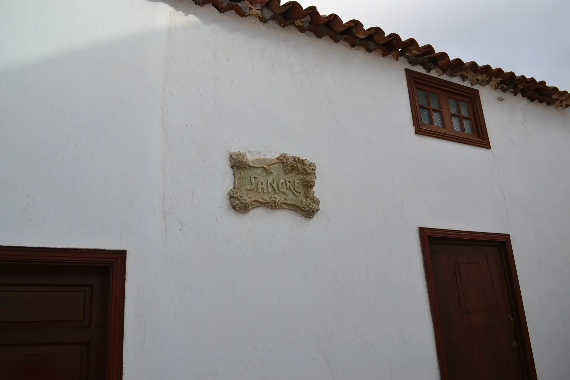 jardin de cactus