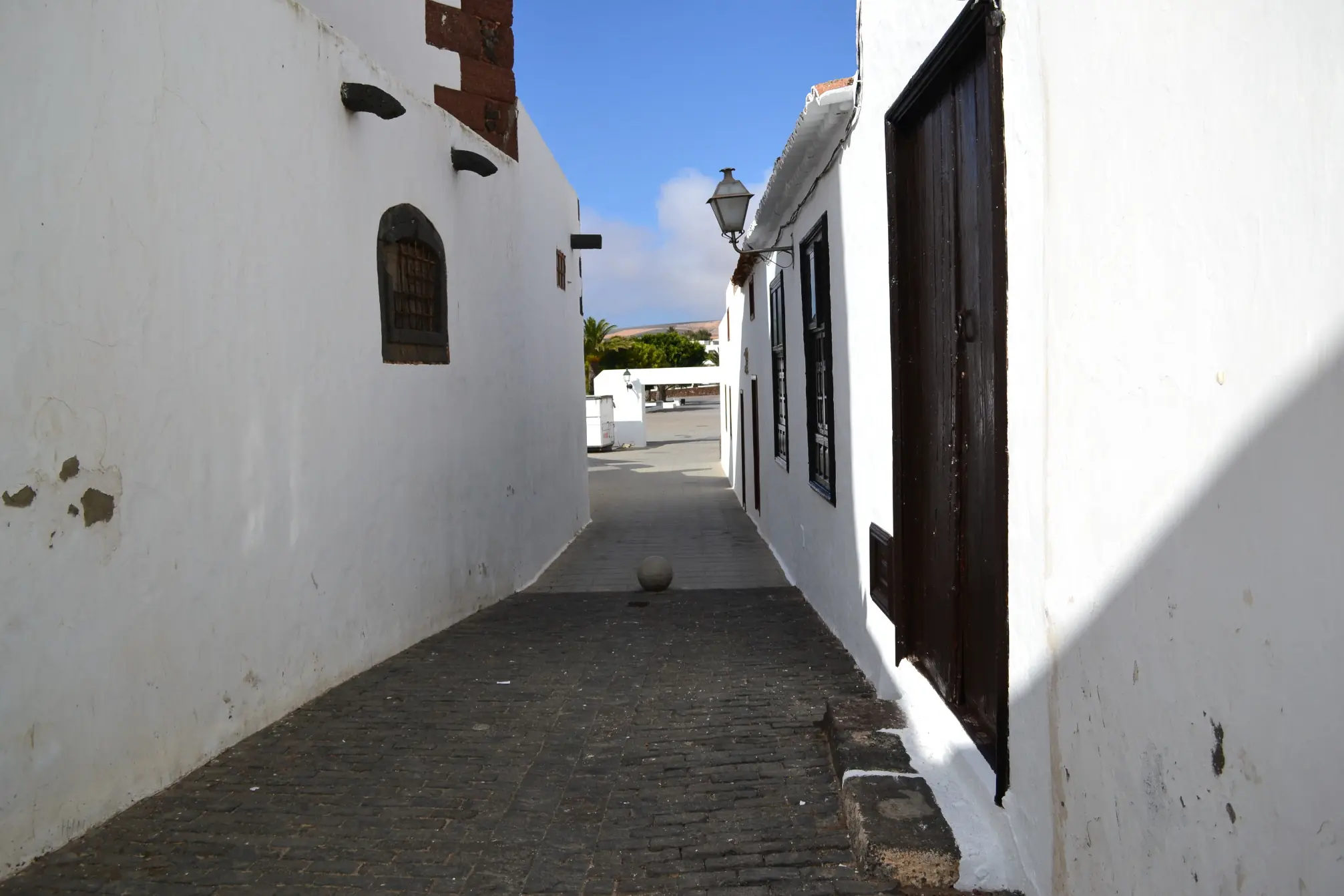 jardin de cactus