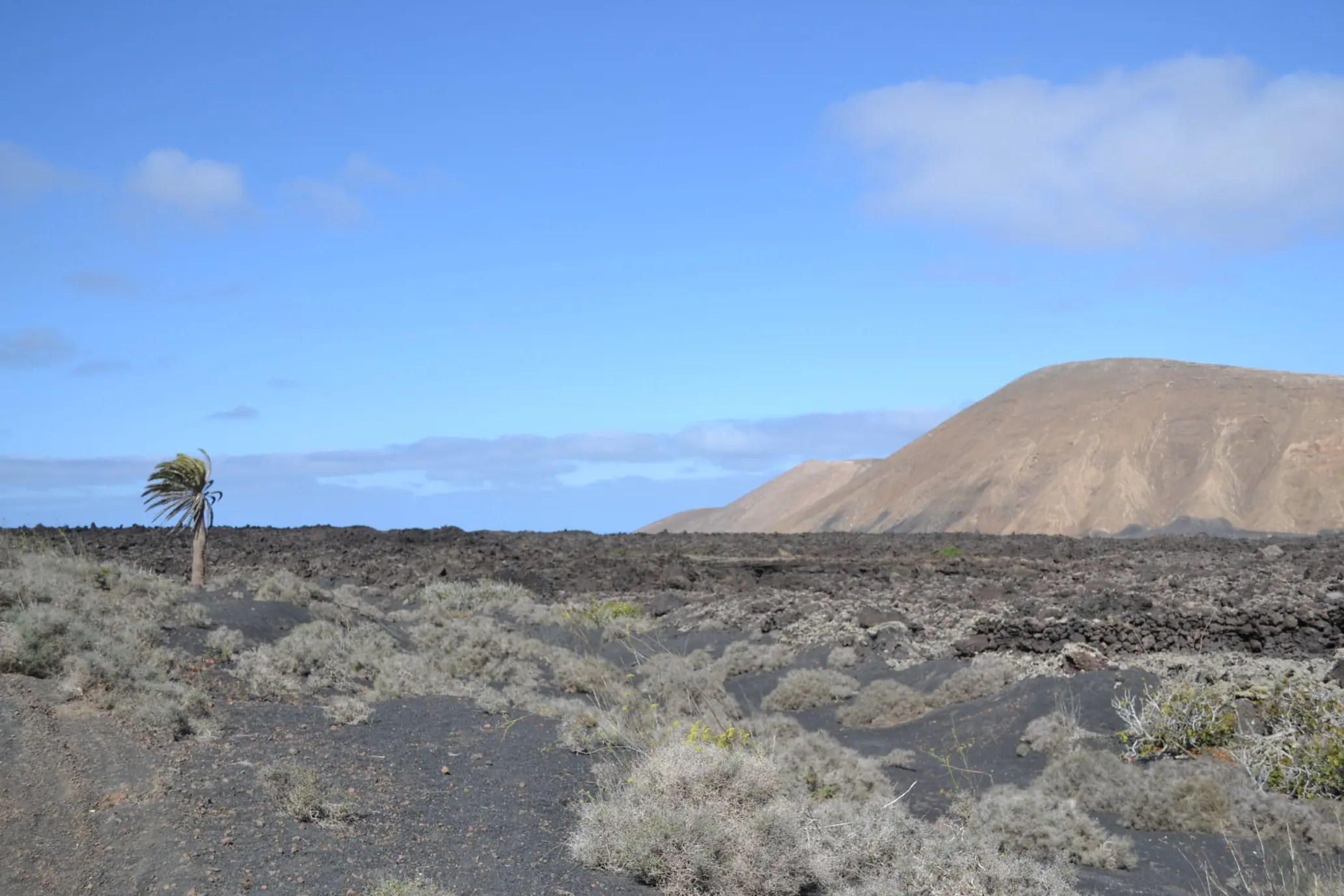 lanzarote