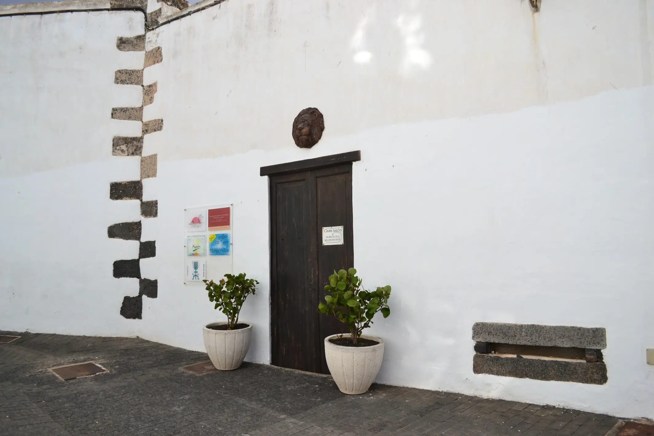 jardin de cactus