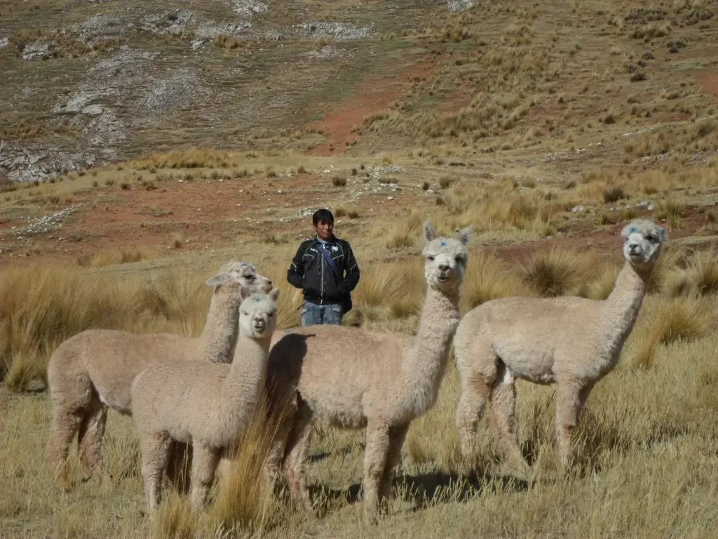 turismo rural comunitario