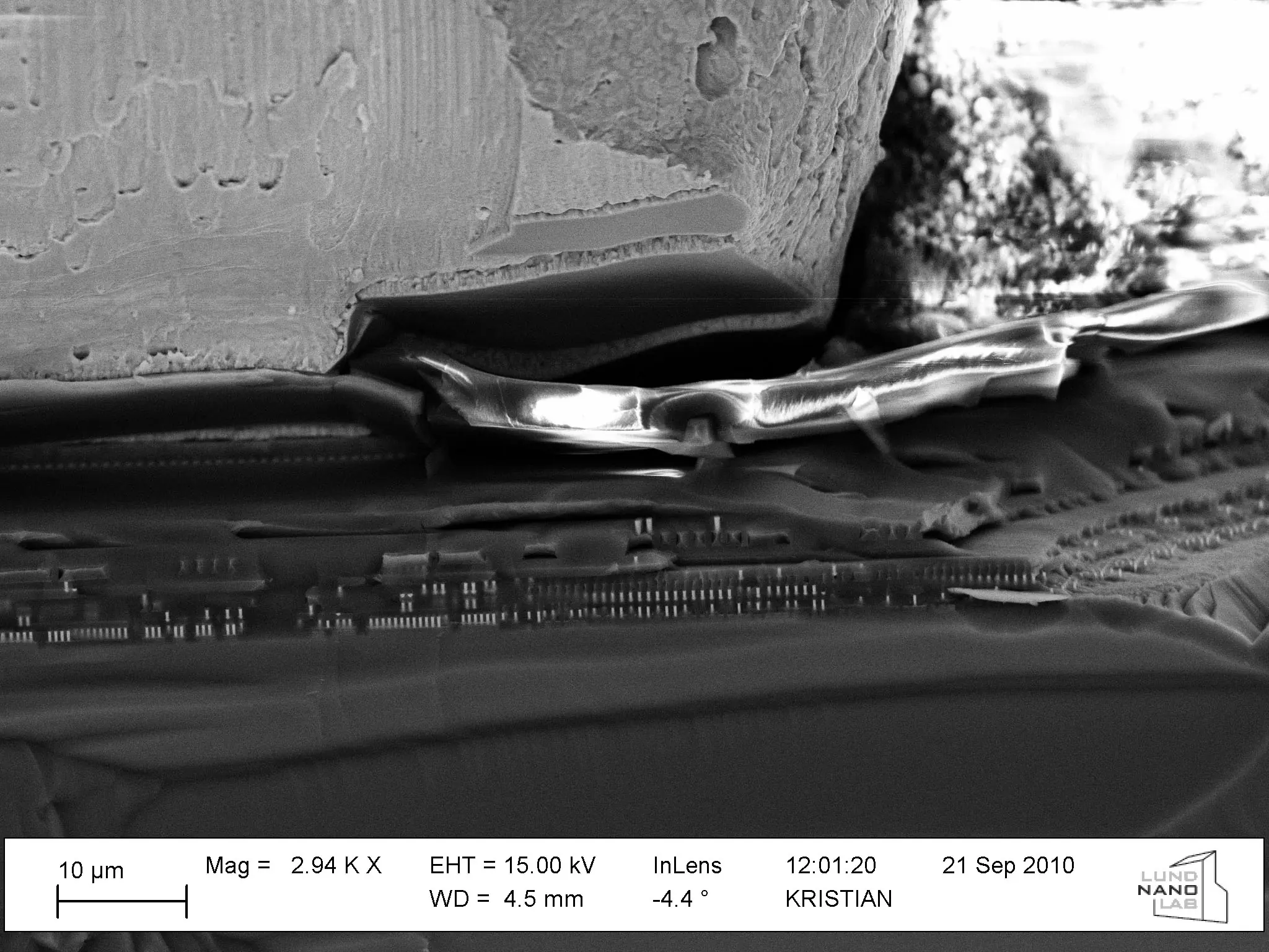 optical microscopy