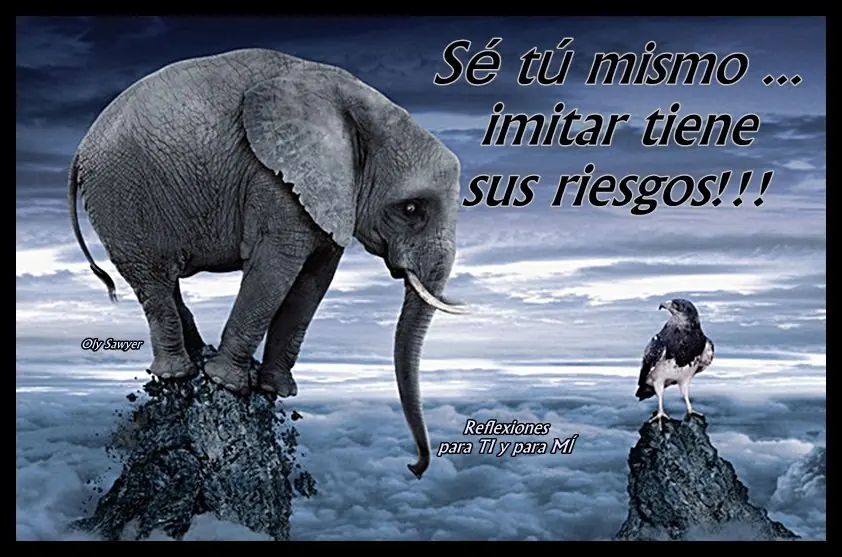 educacion