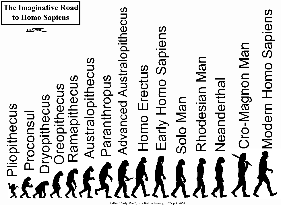evolucion