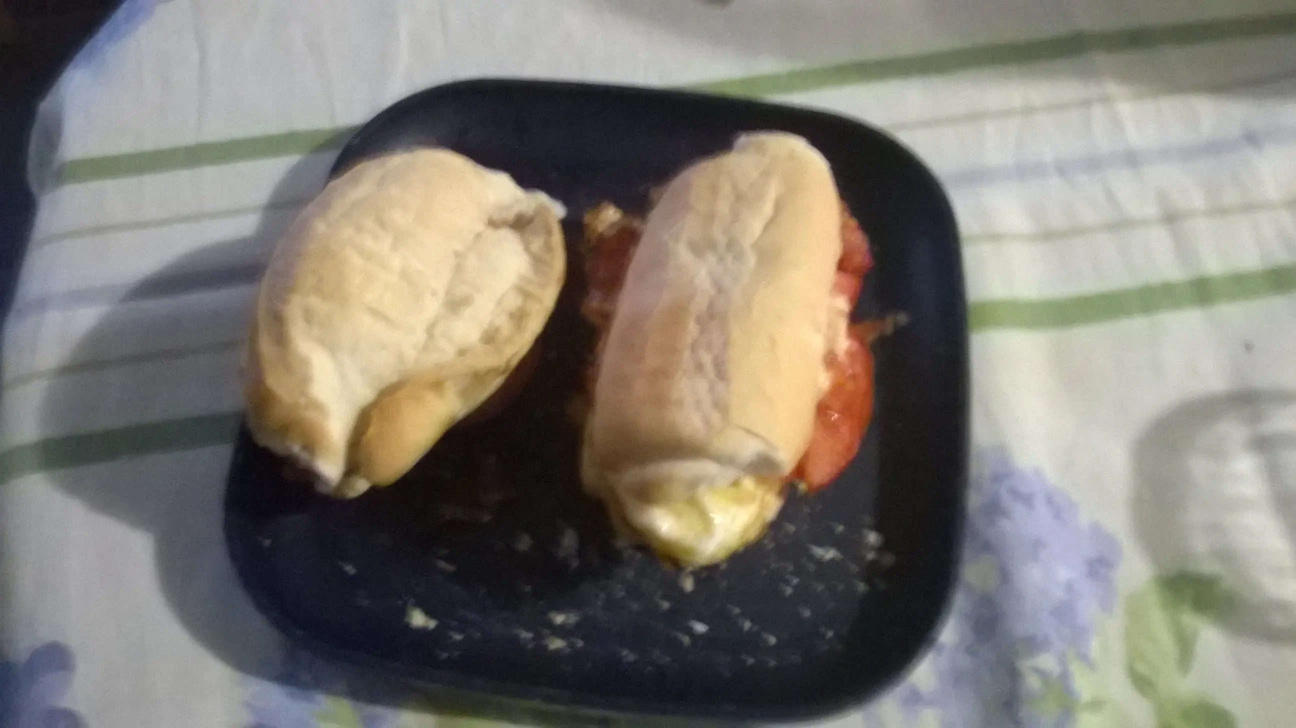 Tenia hambre y me hice este sanguche