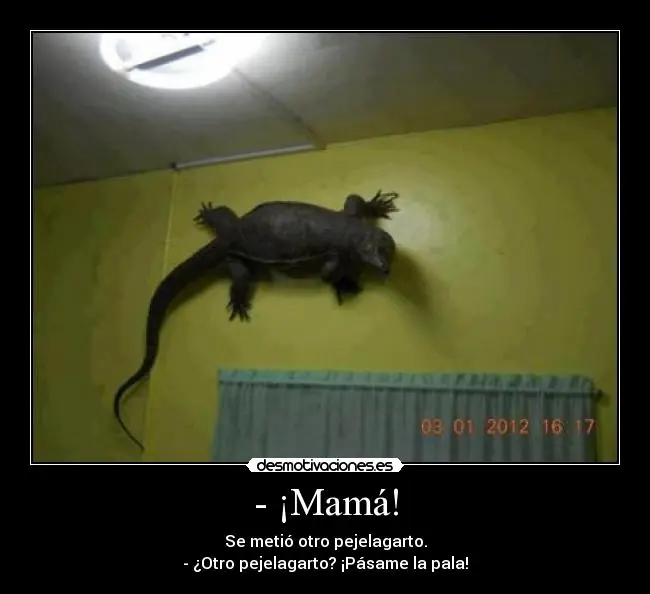 Los Pejelagartos