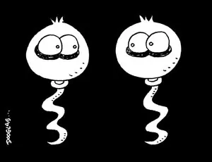 sabias que?.