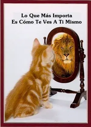 mas que humor