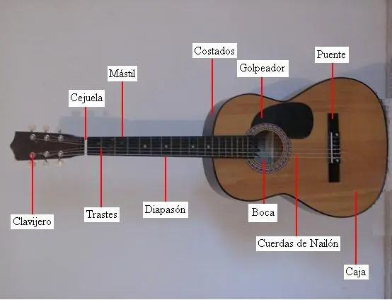 viola