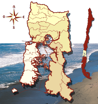 Femicidios en la Region de los Lagos (Chile)