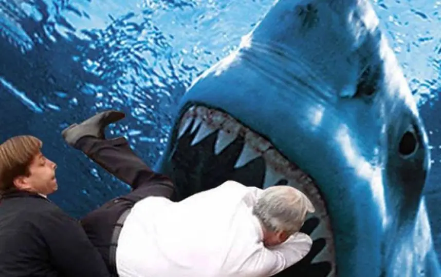 Se Cayó Piñera