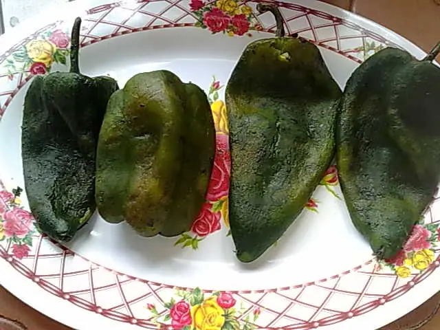 nogada