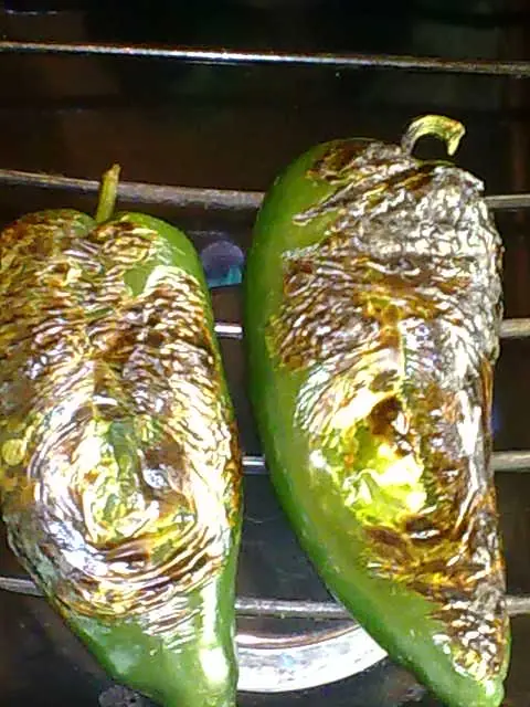 chiles en nogada