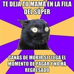 pubicos