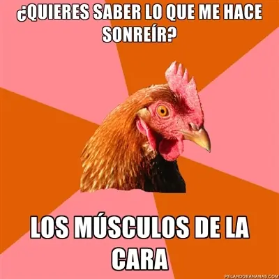 pubicos