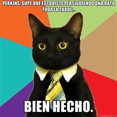pubicos