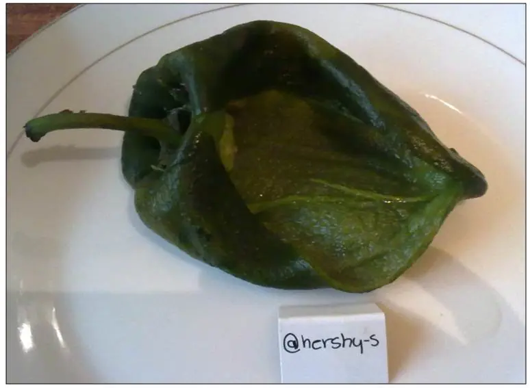 chiles en nogada