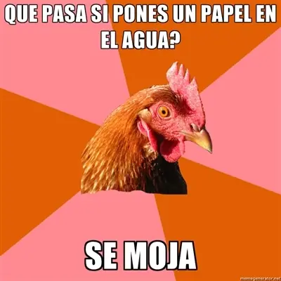 reite