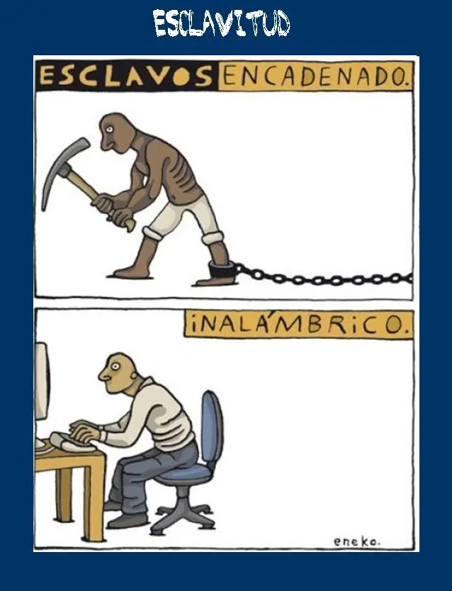 inteligencia colectiva