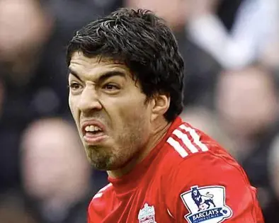 El castor debe roer para que sus dientes no offsideen