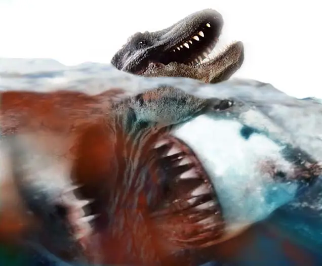 dientes