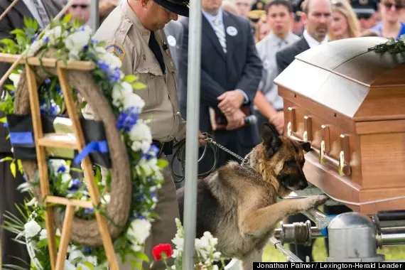 Perro despide a su compañero policia