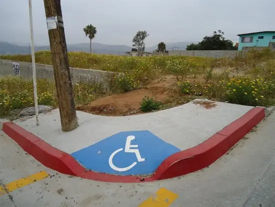 WTF