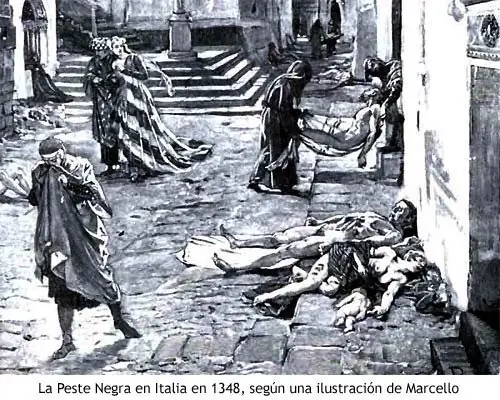 100 curiosidades históricas. Megapost.