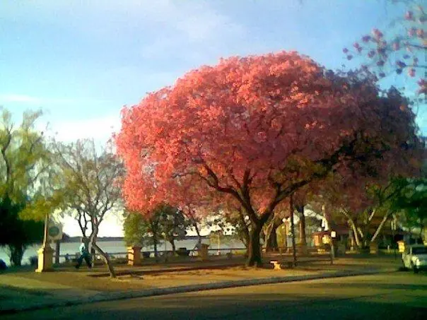 corrientes