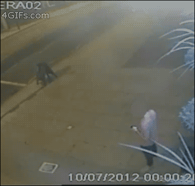 Gifs chistosos