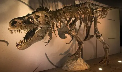 100 curiosidades históricas. Megapost.