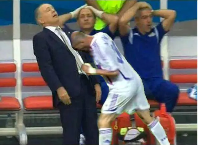 sabella