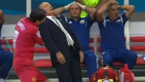 sabella