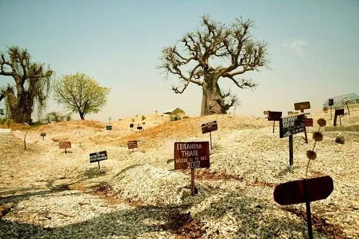 senegal