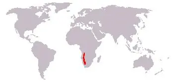 graciosa
