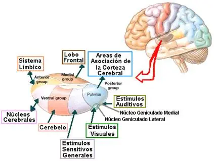 nervioso