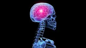 cerebro