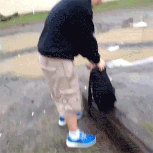 Gifs