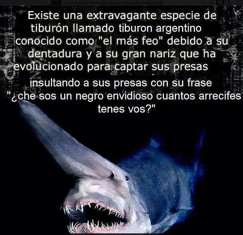 ponerse