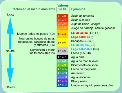 ciencia