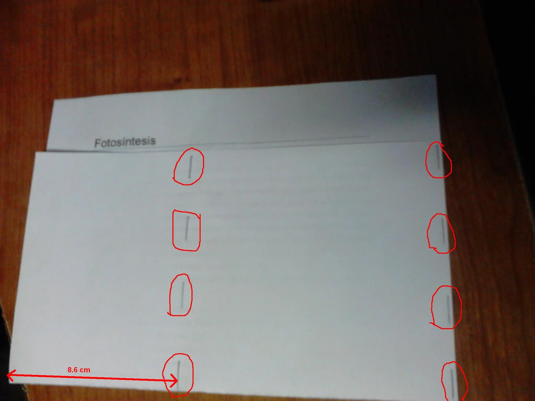 papel