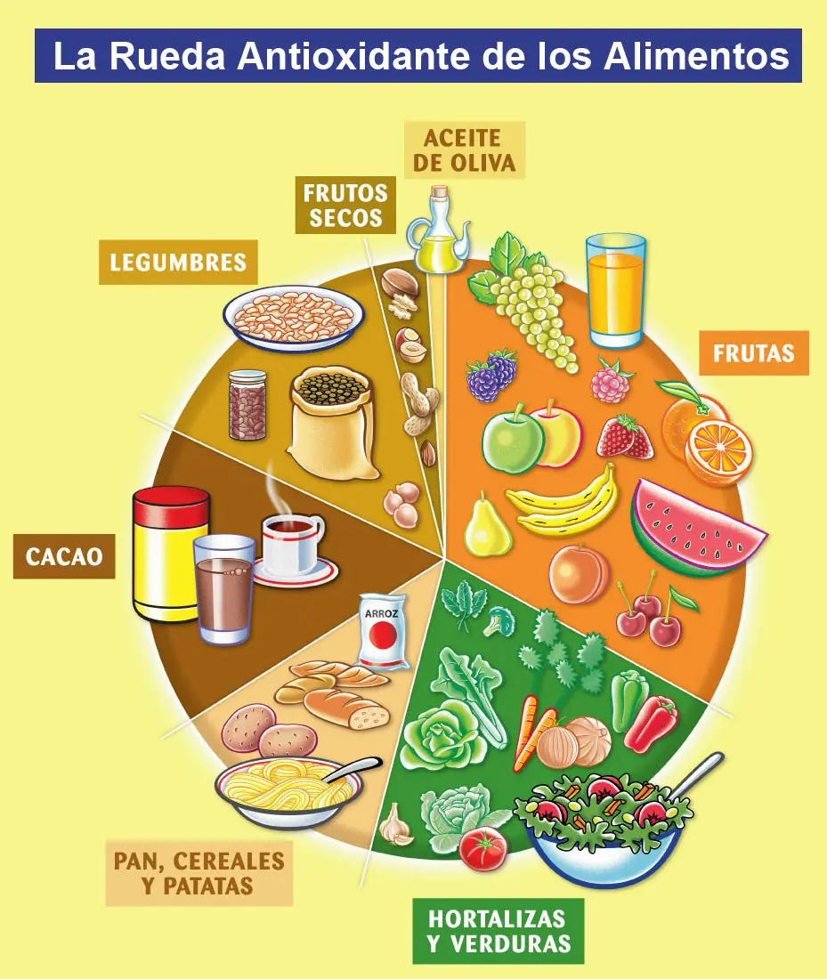 Ser Vegetariano (Por que?)