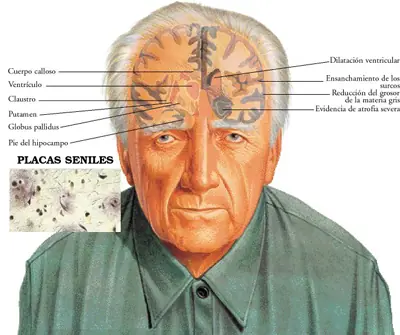 personas