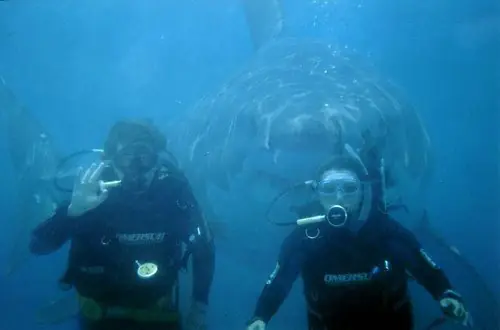 Momento exacto, lugar preciso