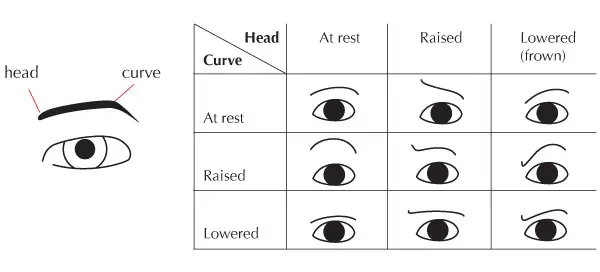 fisonomia