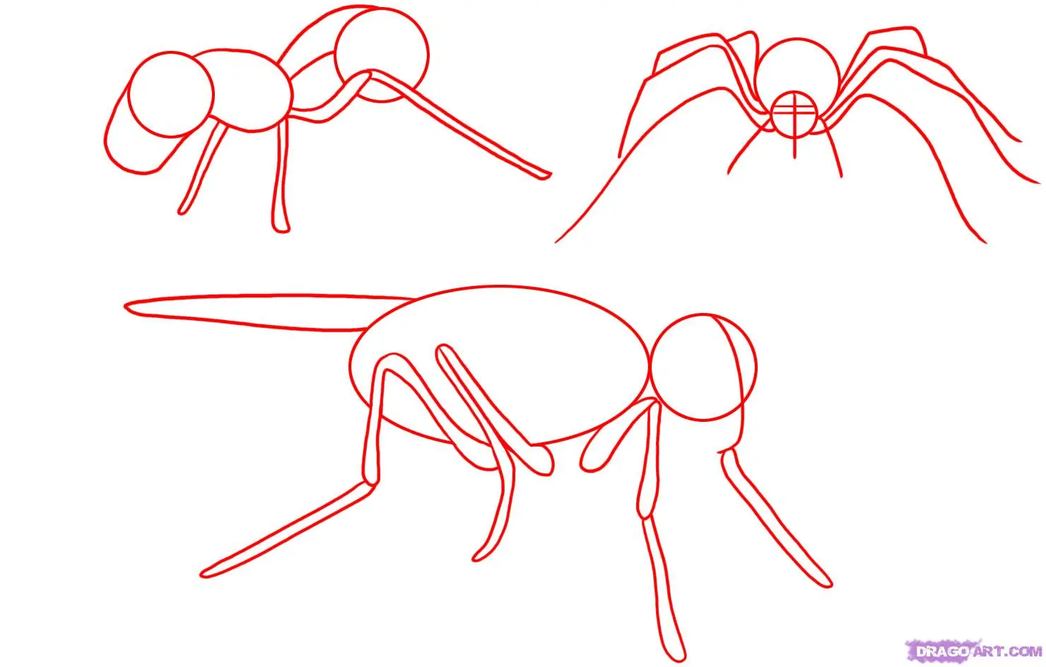 Como aprender a dibujar animales . . . .