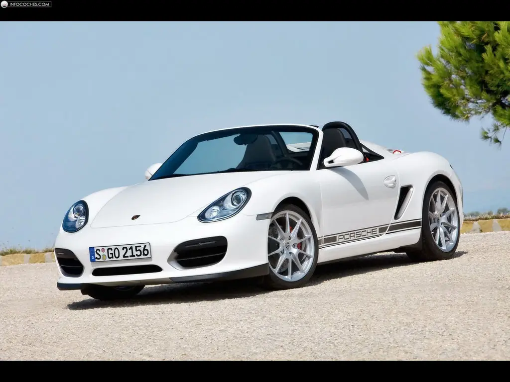 Todos los Porsche acá!